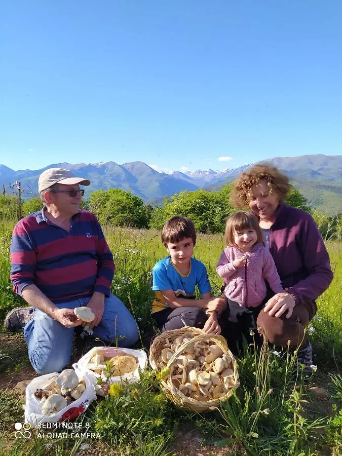 Сasa de vacaciones L'Estisora de Casa Hereu Villa Montcortès